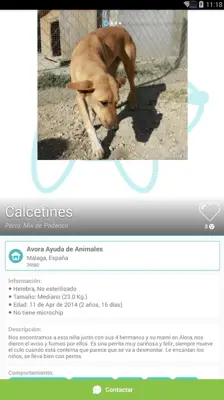 Miwuki Pet Shelter android App screenshot 5