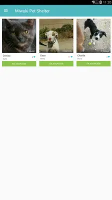 Miwuki Pet Shelter android App screenshot 6